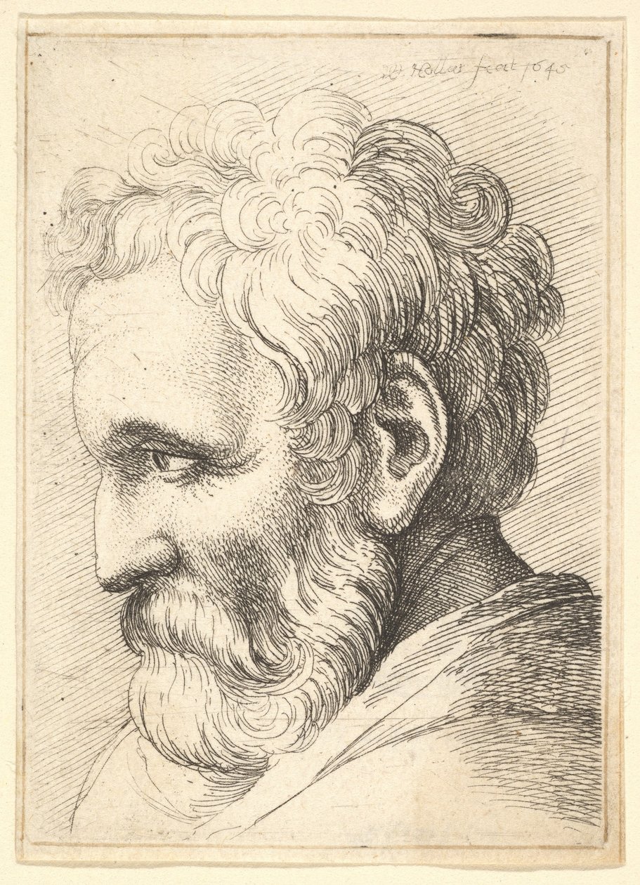 Vieil homme barbu, 1645 - Wenceslaus Hollar