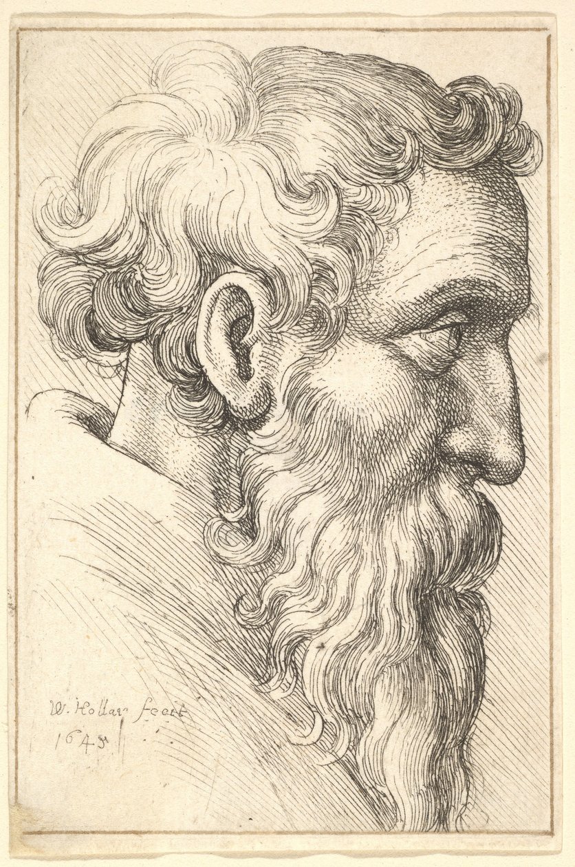 Vieil homme barbu de profil vers la droite - Wenceslaus Hollar