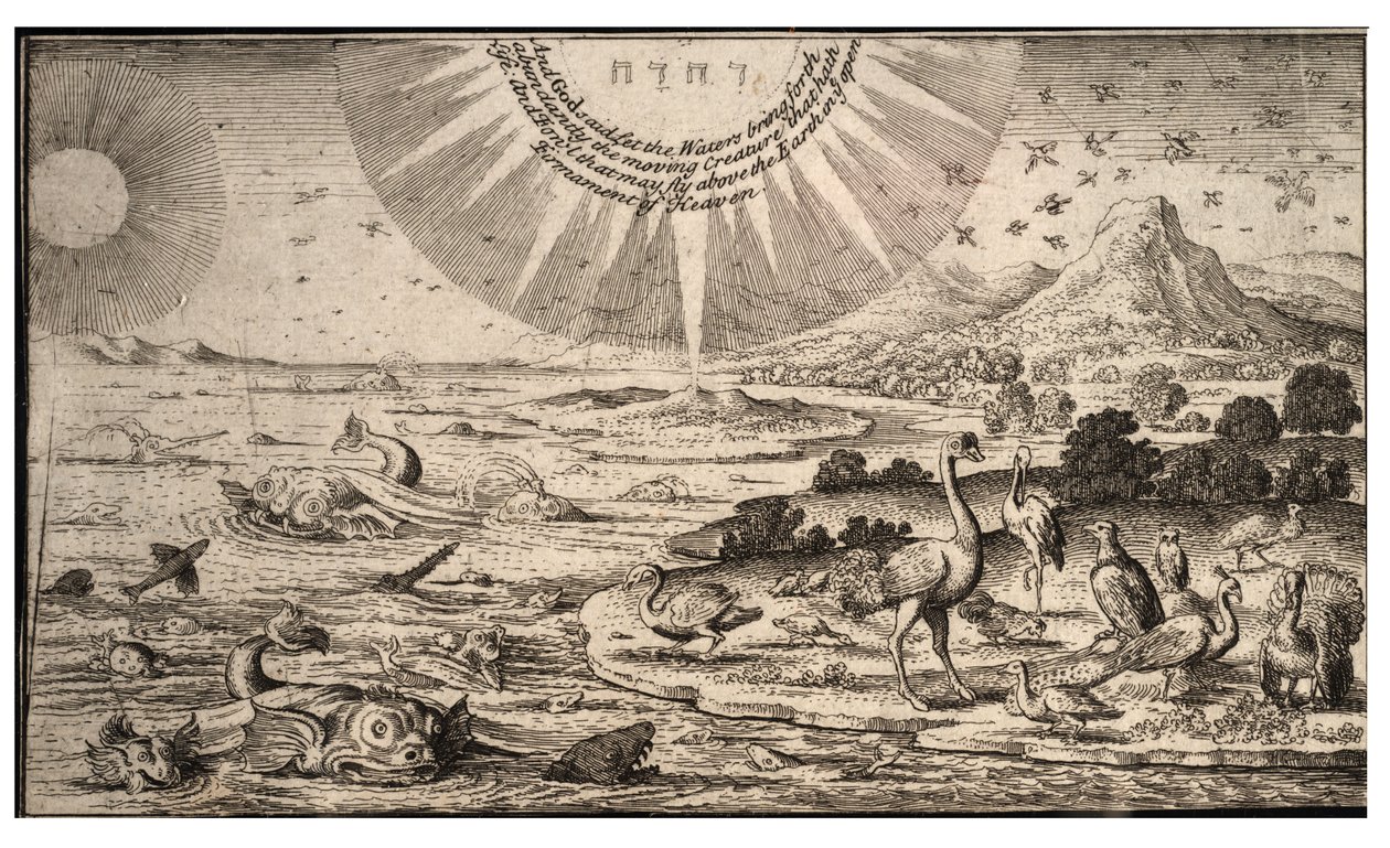 Création des oiseaux et des poissons - Wenceslaus Hollar