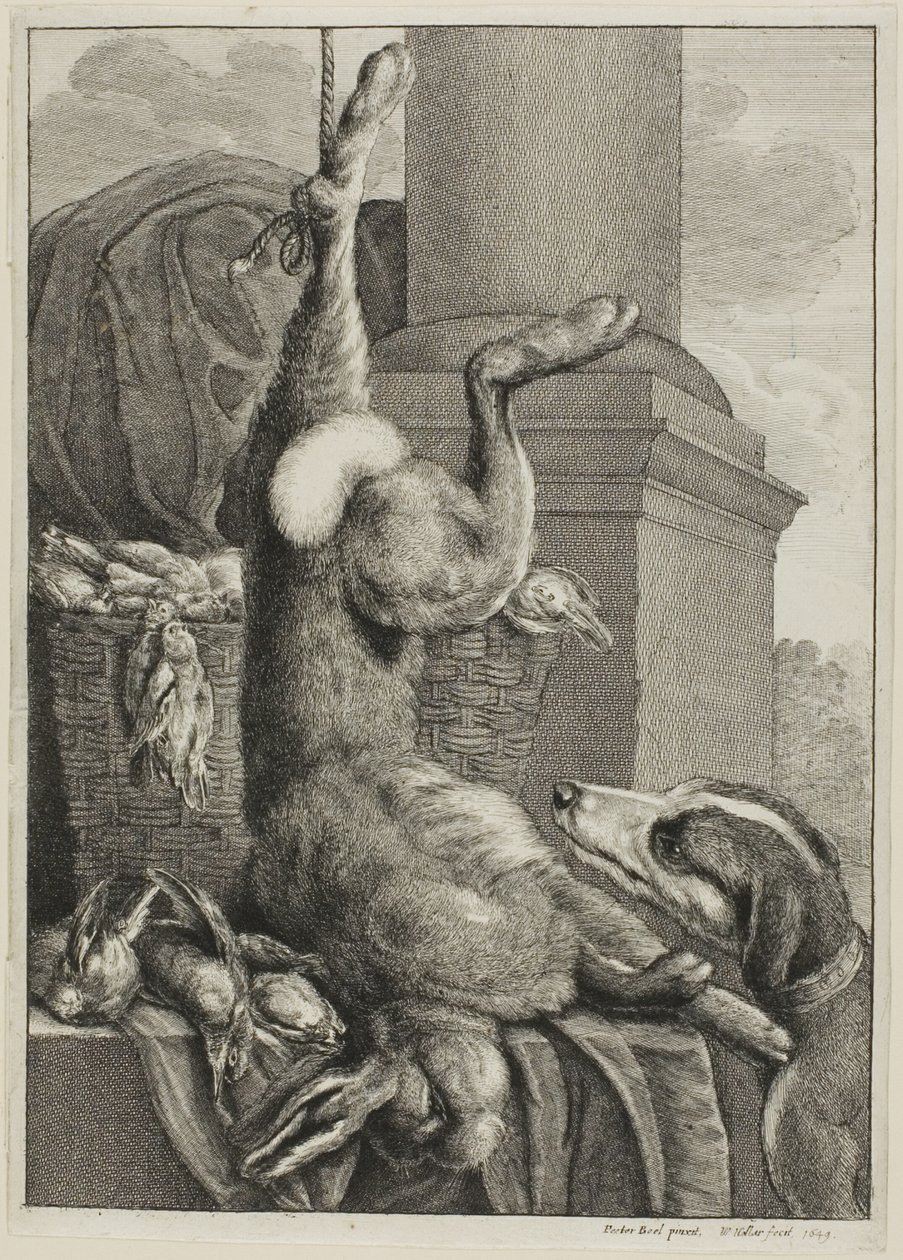Lièvre mort - Wenceslaus Hollar