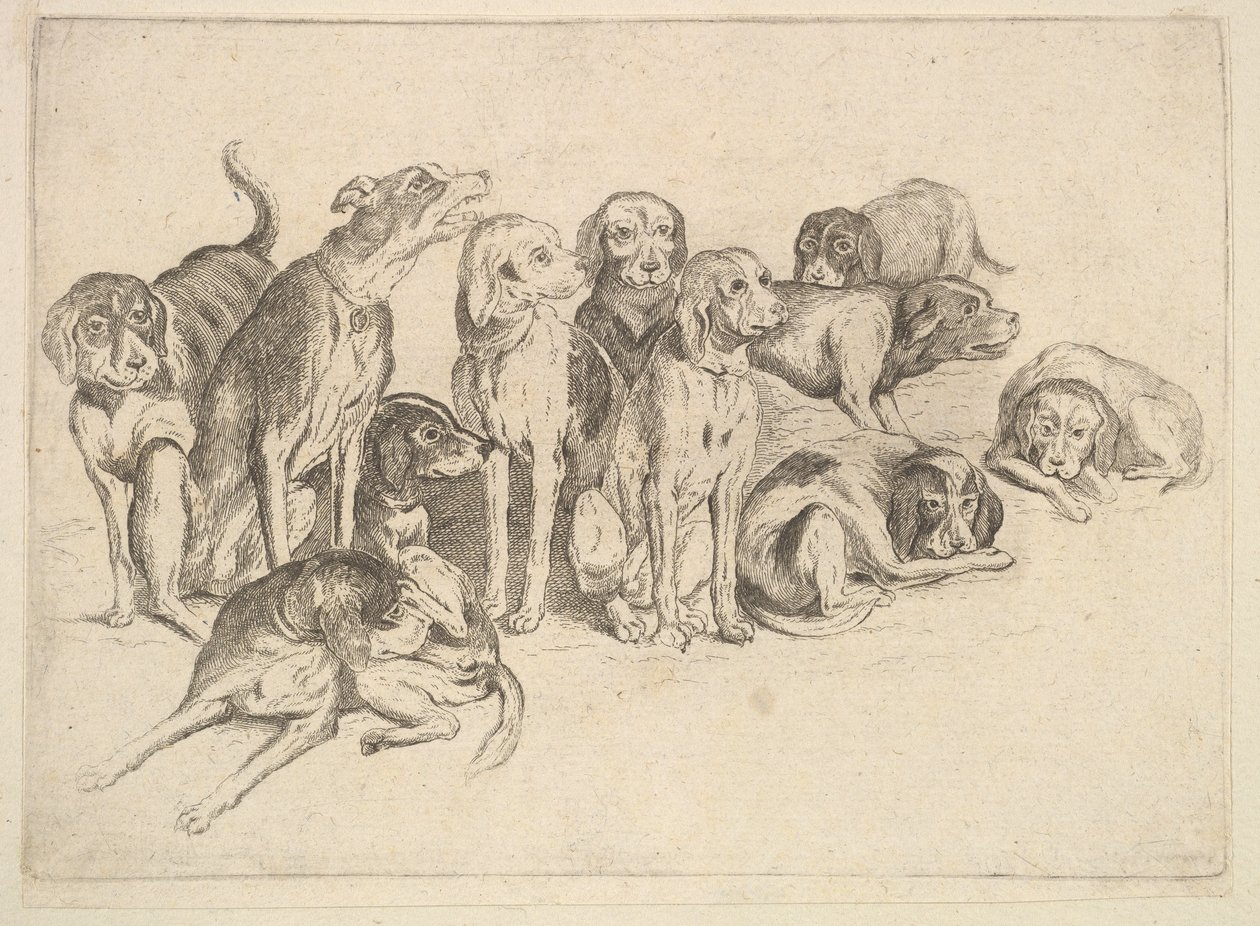 Onze Chiens - Wenceslaus Hollar