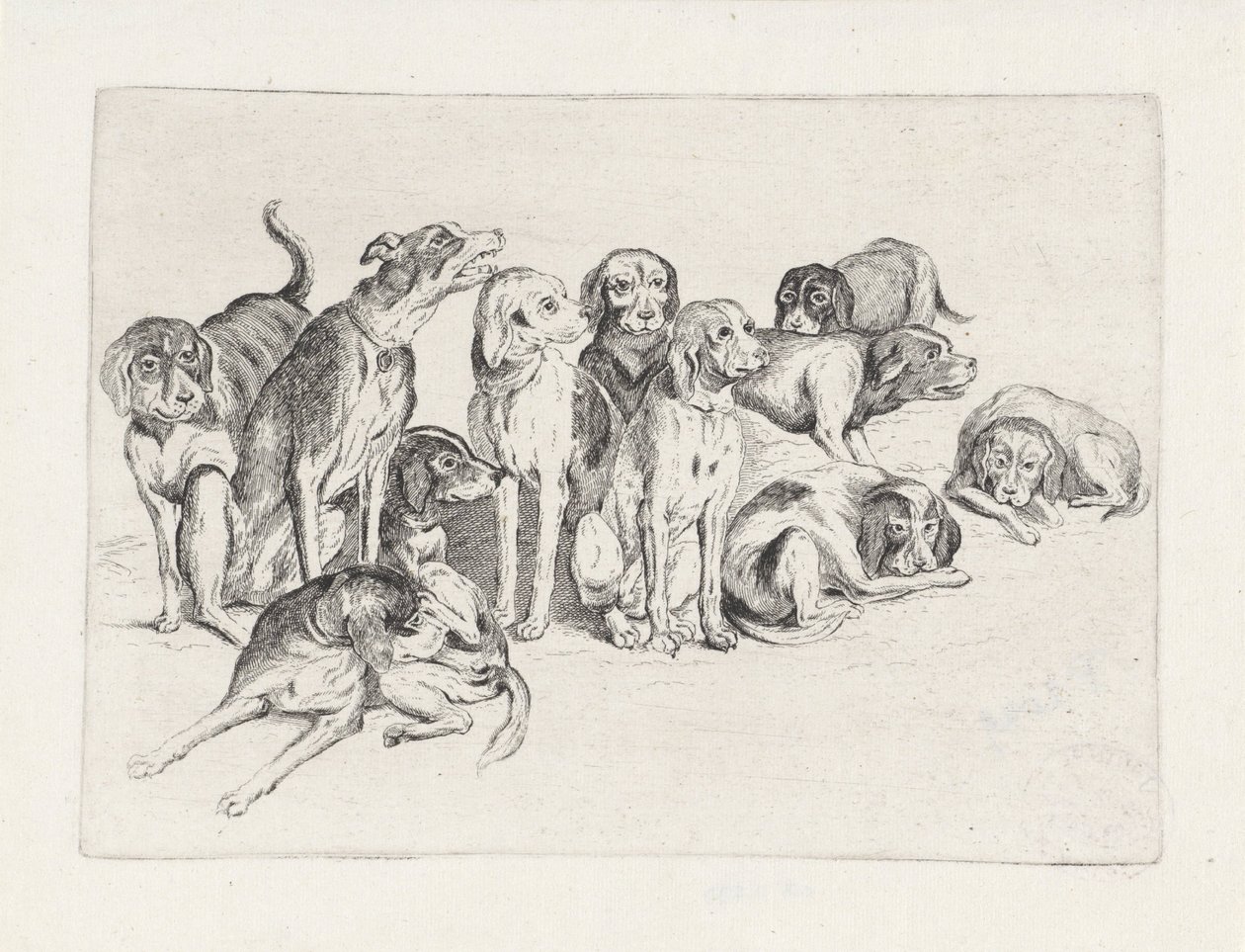 Onze chiens de chasse - Wenceslaus Hollar