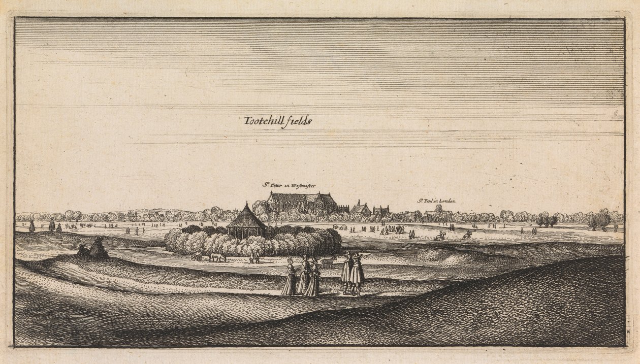 Vues anglaises : Tootehill Fields - Wenceslaus Hollar
