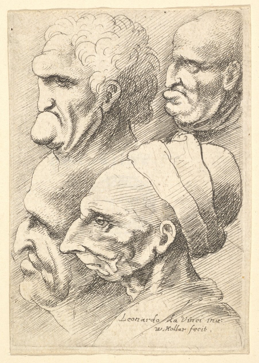 Quatre têtes grotesques de profil à gauche - Wenceslaus Hollar