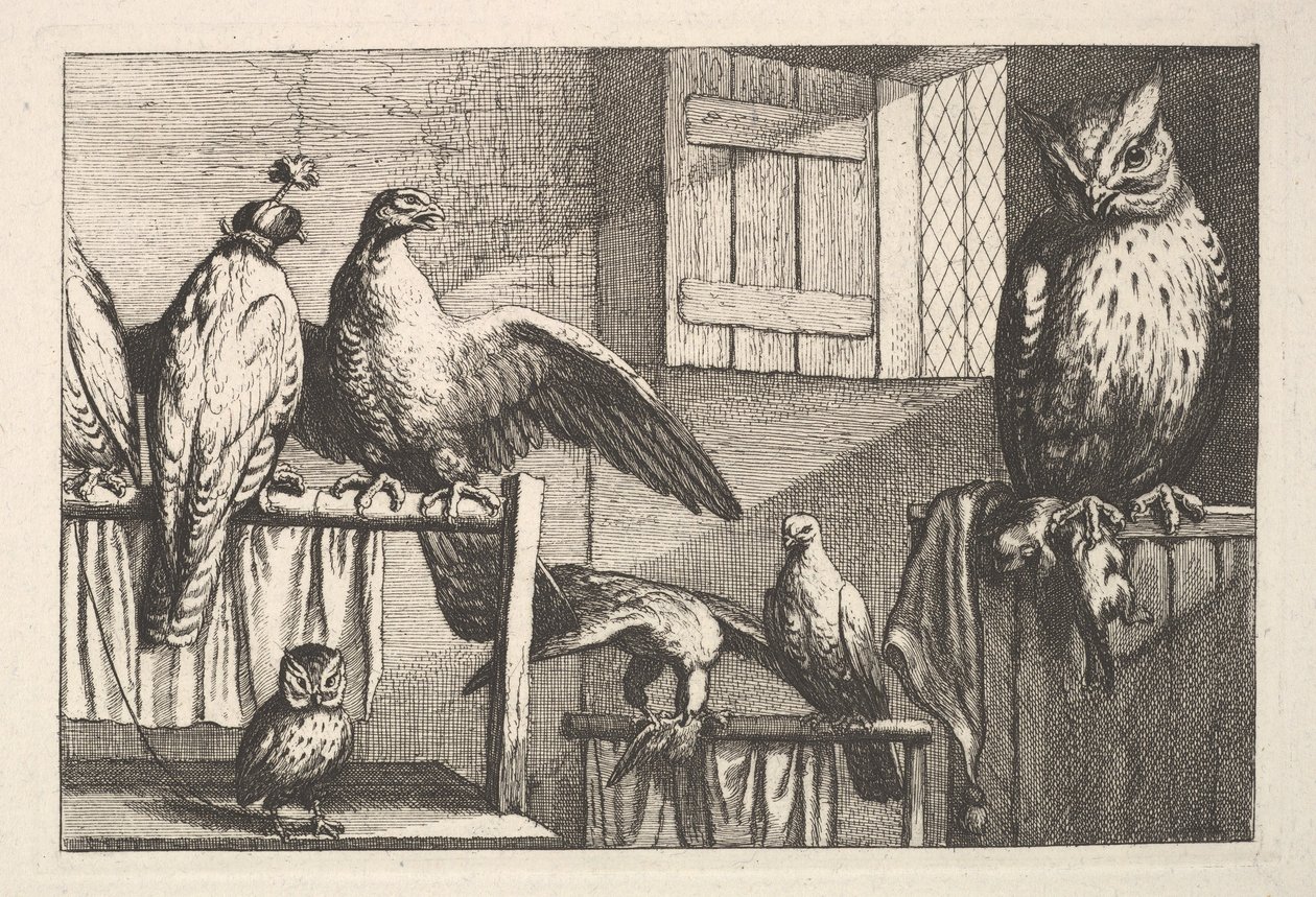 Faucons et hiboux, 1625-77 - Wenceslaus Hollar