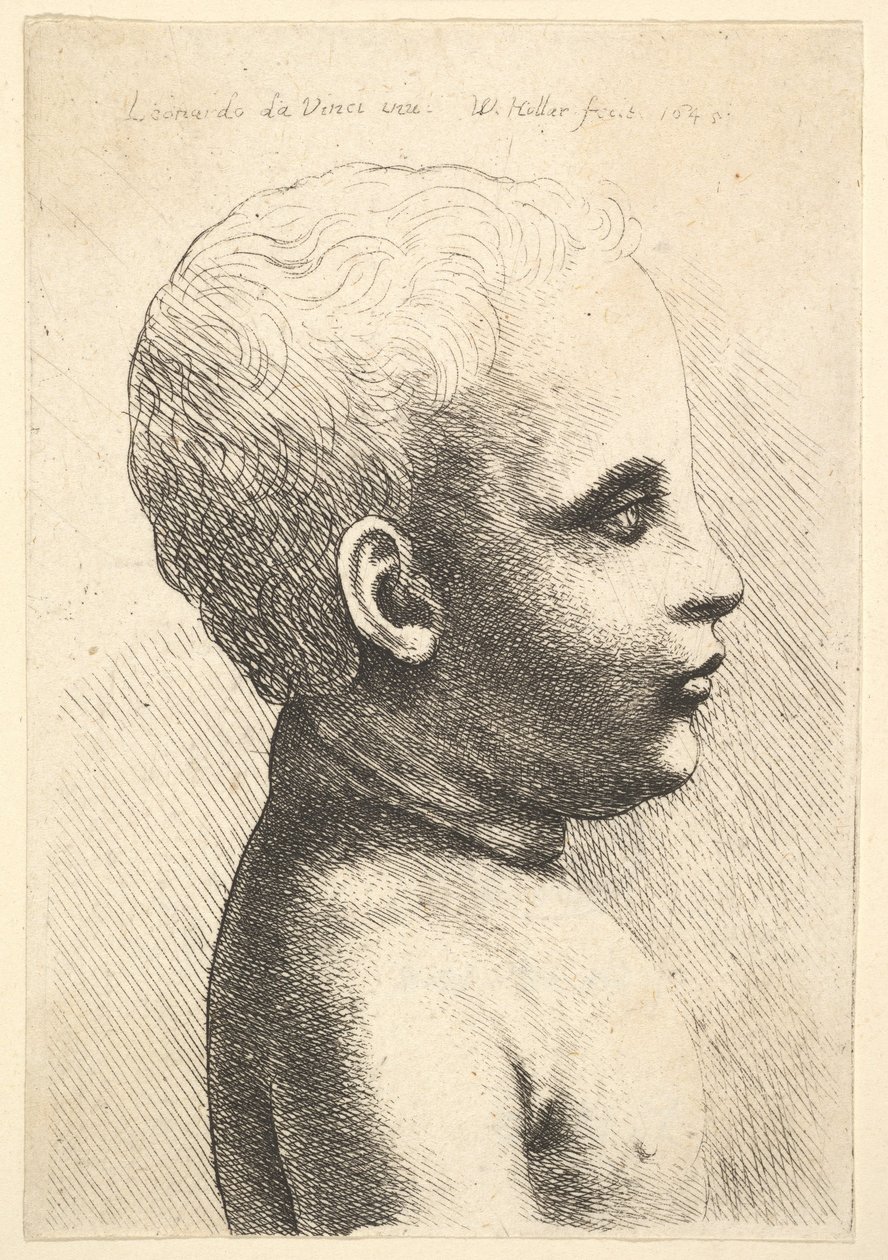 Tête et épaule d