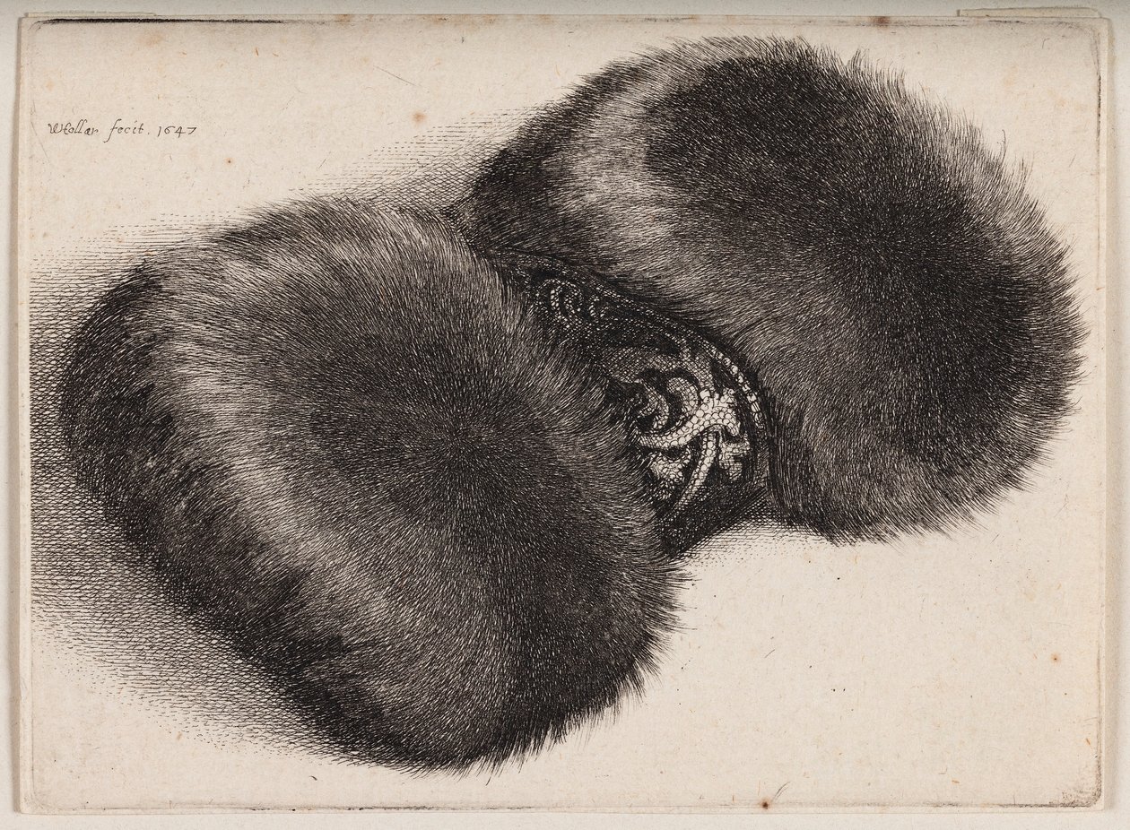 Manchon de fourrure avec un ruban recouvert de brocart - Wenceslaus Hollar