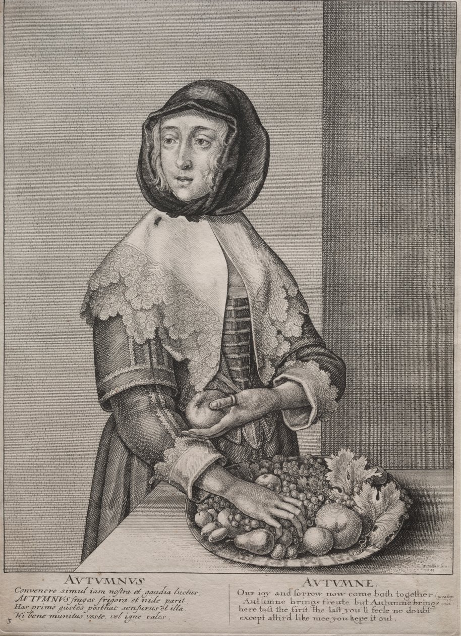 Les Quatre Saisons : Automne - Wenceslaus Hollar