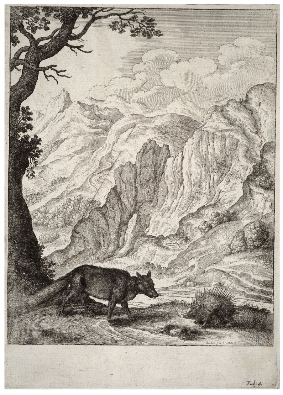 Le renard et le porc-épic - Wenceslaus Hollar