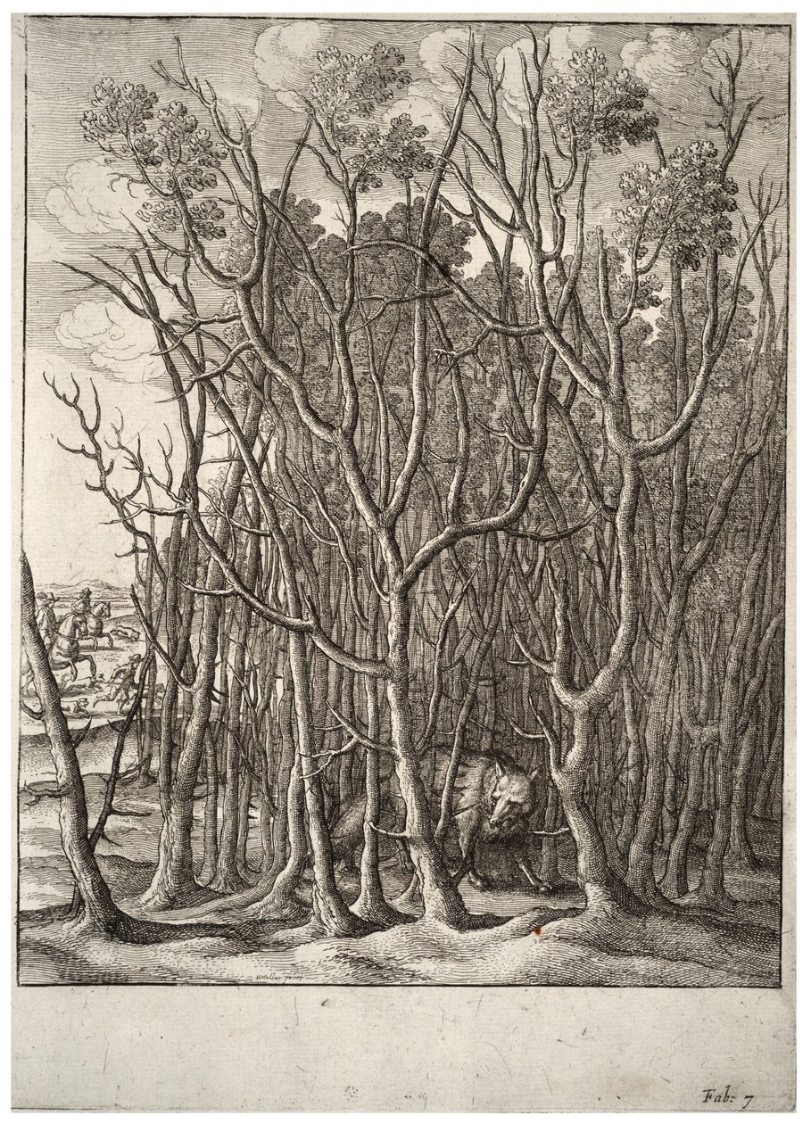 Le renard et le buisson d