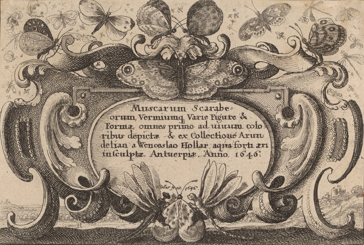 Page de titre, 1646 - Wenceslaus Hollar