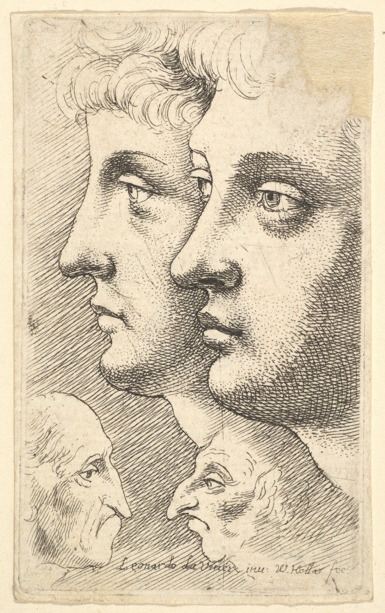 Deux jeunes en profil à gauche avec deux têtes grotesques se faisant face en dessous - Wenceslaus Hollar