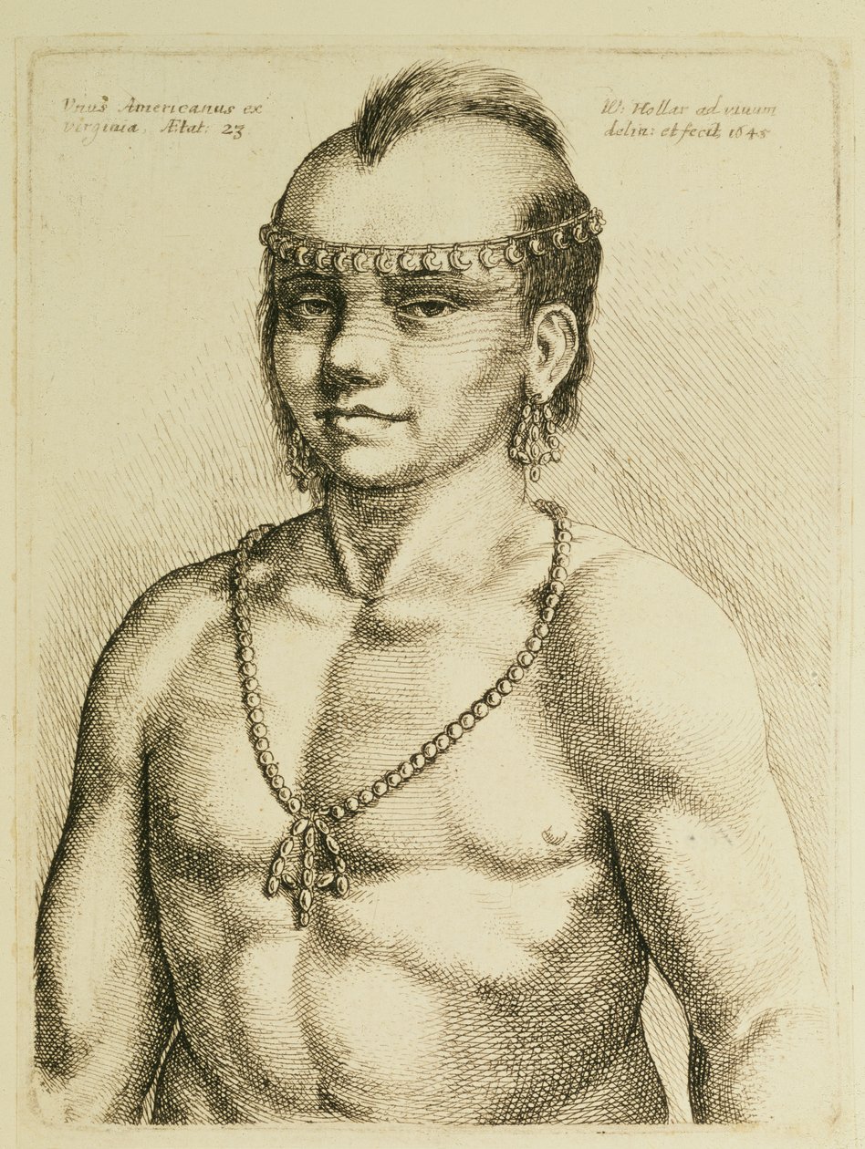 Indien de Virginie de 