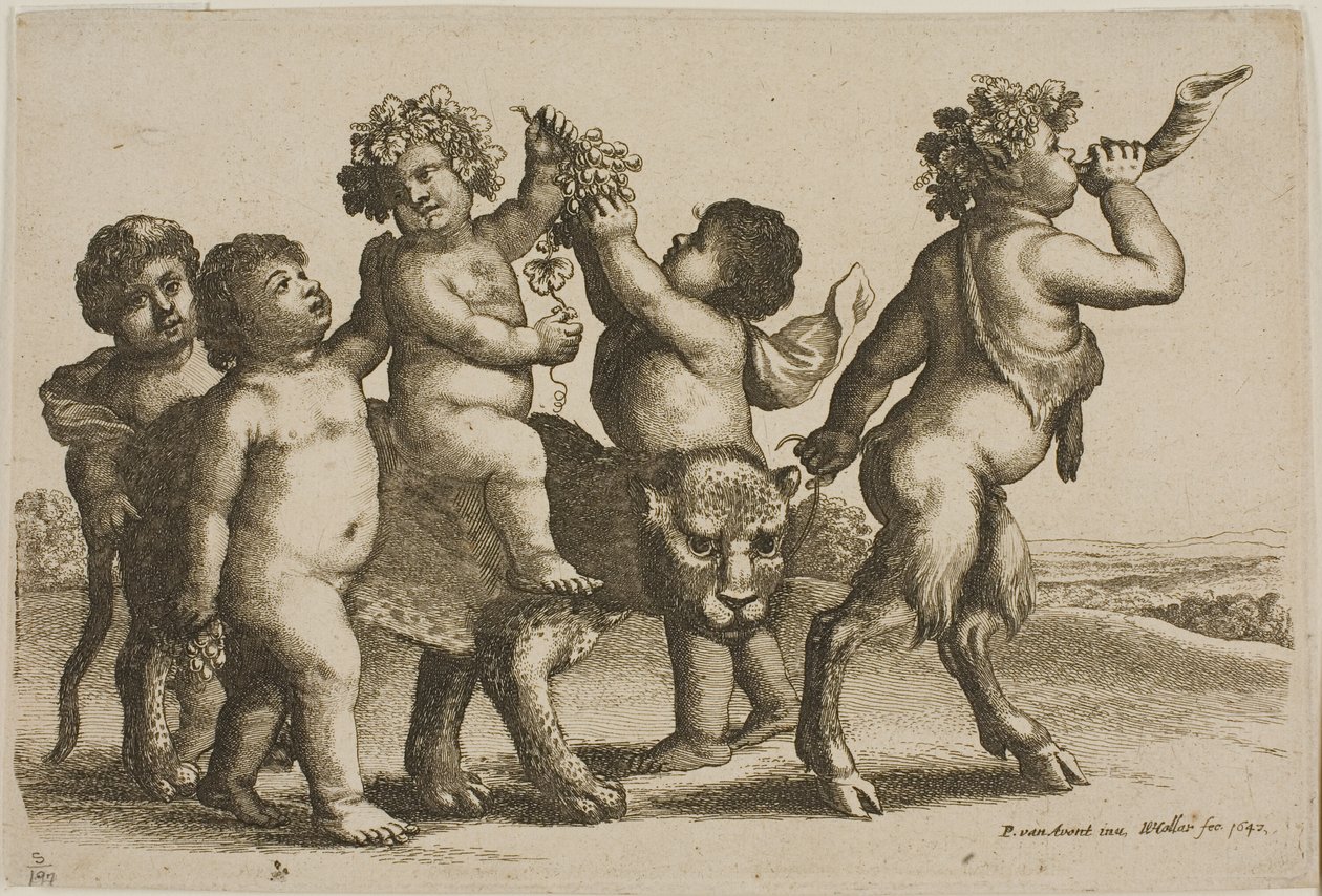Jeune Bacchus chevauchant un léopard conduit par un satyre soufflant dans une corne - Wenceslaus Hollar