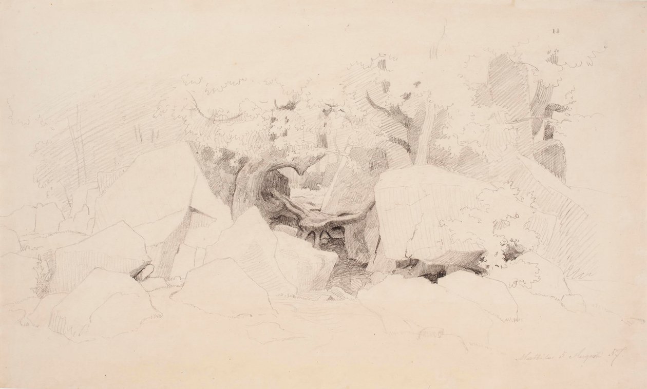 Copeaux de pierre dans la forêt - Werner Holmberg