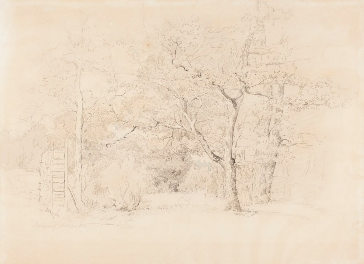 Paysage, bosquet - Werner Holmberg