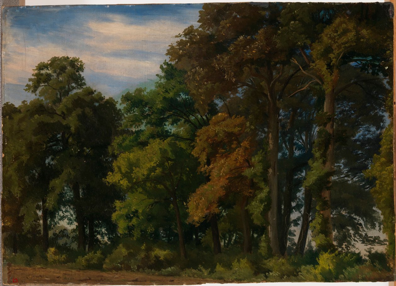 Paysage en Allemagne, étude - Werner Holmberg