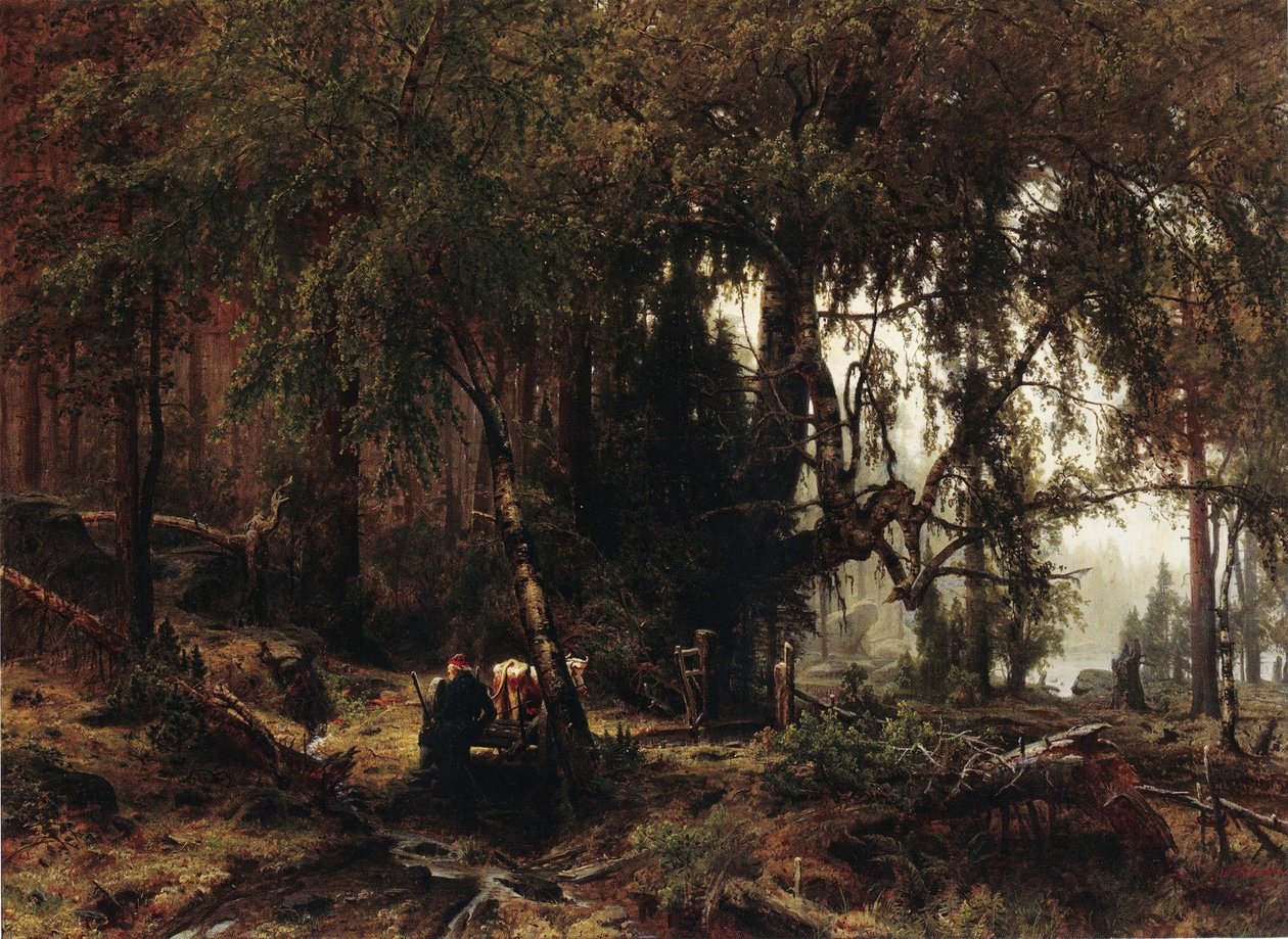 Forêt sous la pluie - Werner Holmberg