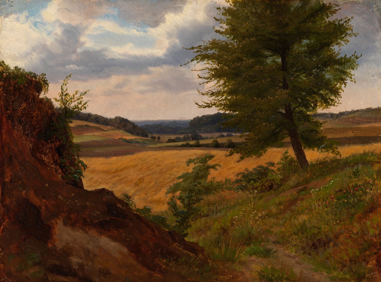 Arbre dans un paysage de champs, étude - Werner Holmberg