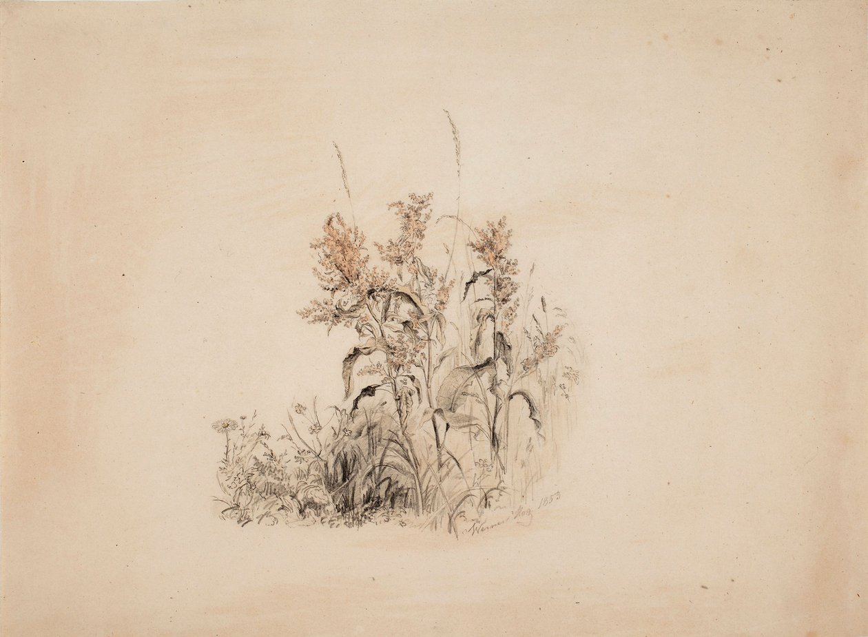 Sans titre - Werner Holmberg