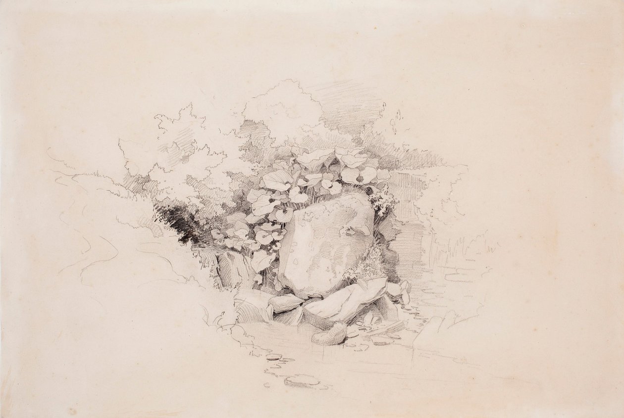 Sans titre - Werner Holmberg