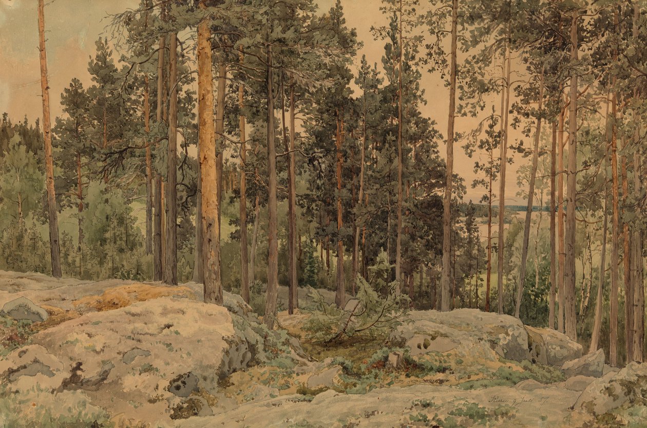Sans titre - Werner Holmberg