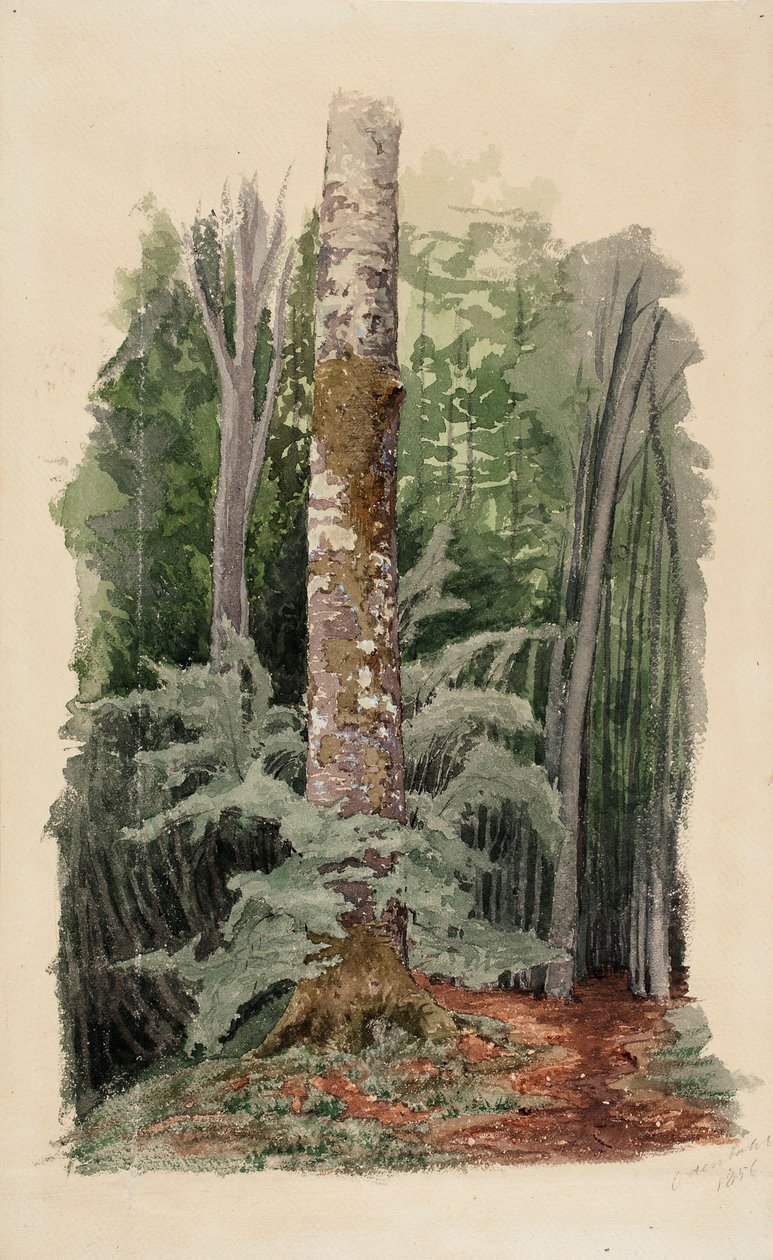 Sans titre - Werner Holmberg