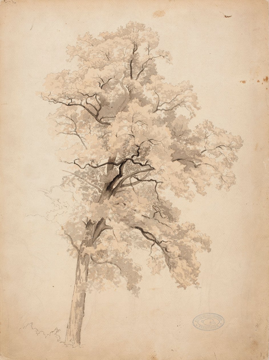 Sans titre - Werner Holmberg