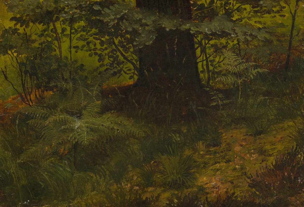 Sans titre - Werner Holmberg