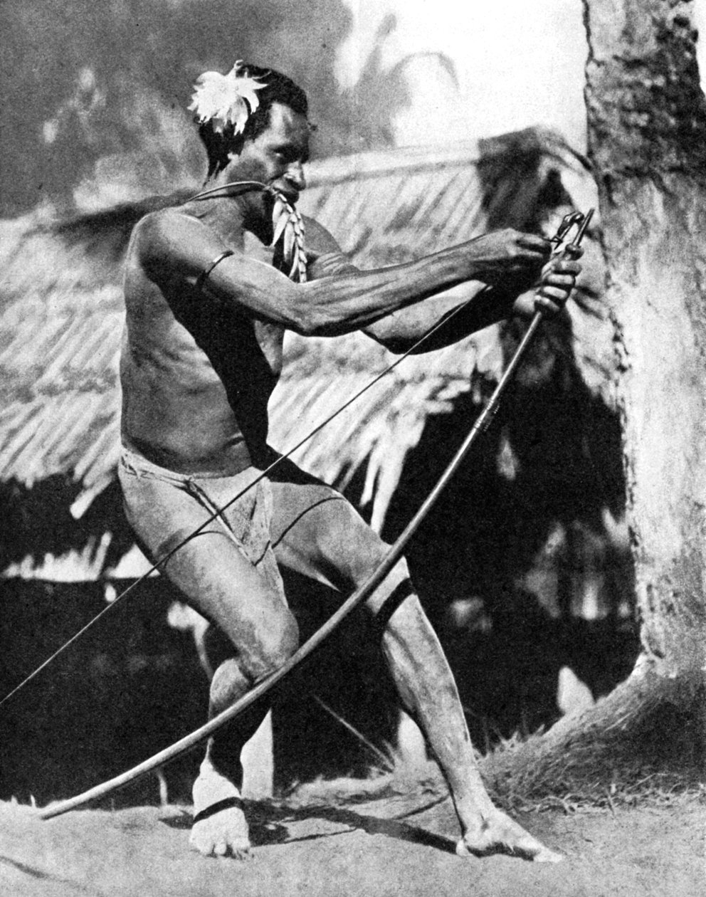 Un chasseur bandant son arc, 1936 - Wide World Photos