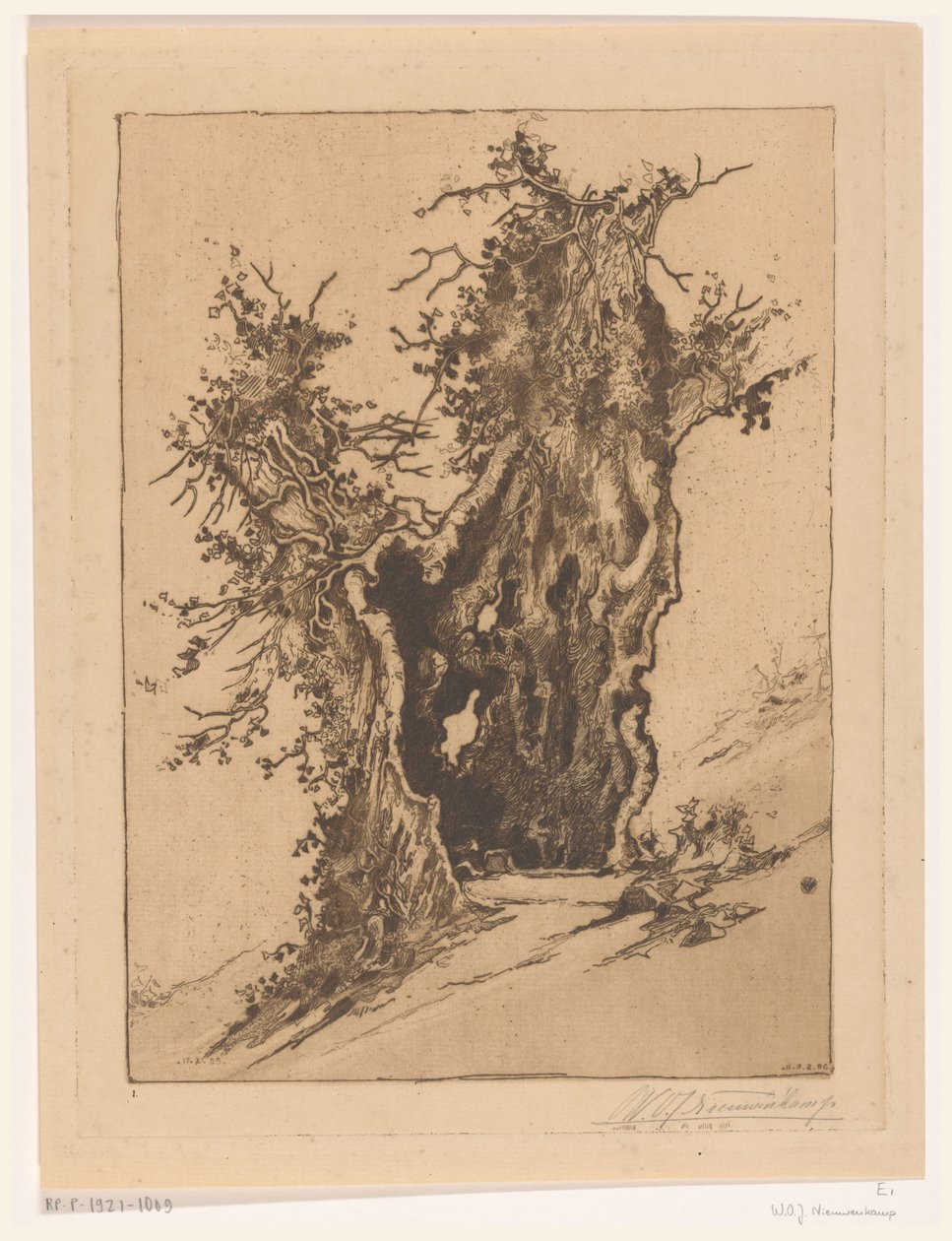 Arbre creux à Seelisberg en Suisse - Wijnand Otto Jan Nieuwenkamp (signed by artist)