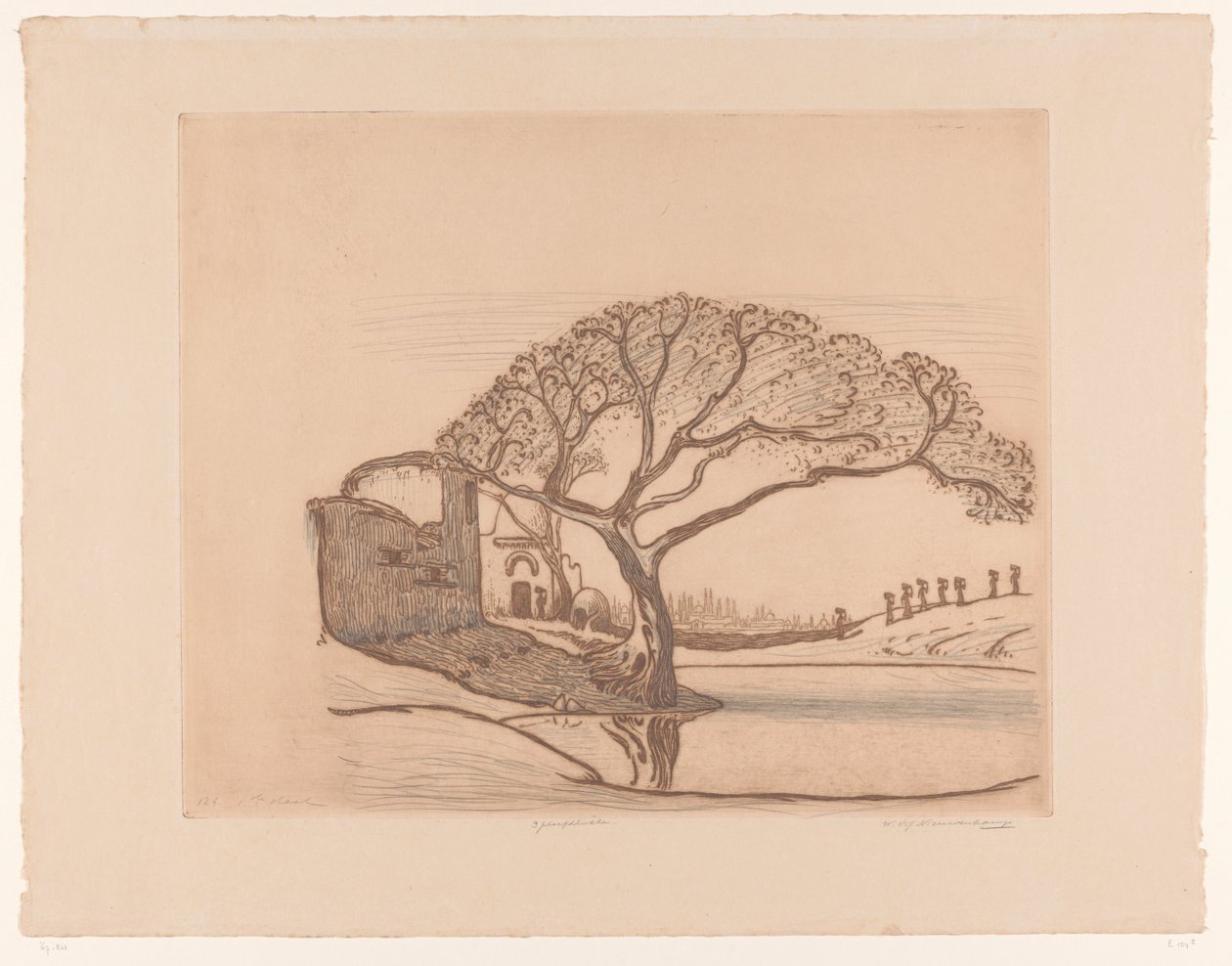 Maisons, arbre près d