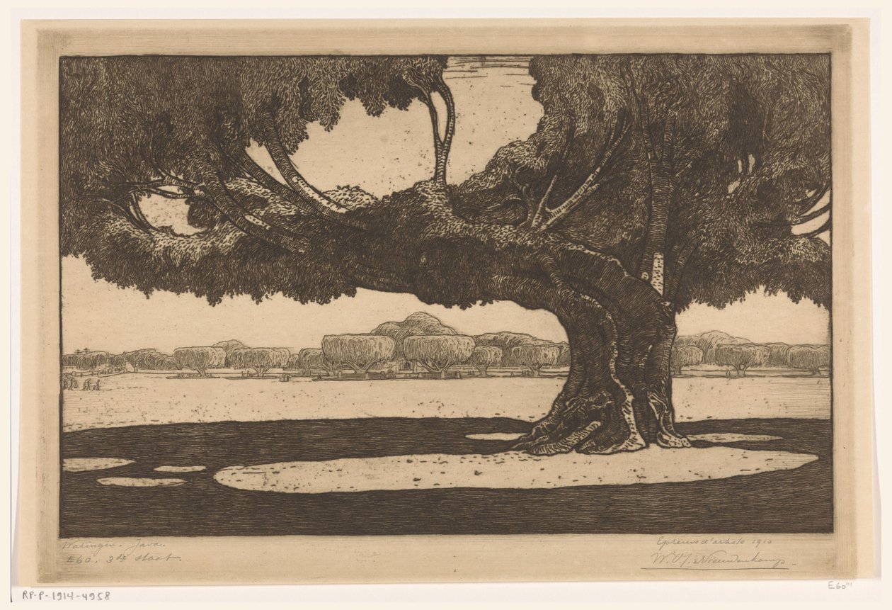 Arbres Waringin dans le jardin du palais du sultan à Yogyakarta (Le grand arbre) - Wijnand Otto Jan Nieuwenkamp (signed by artist)