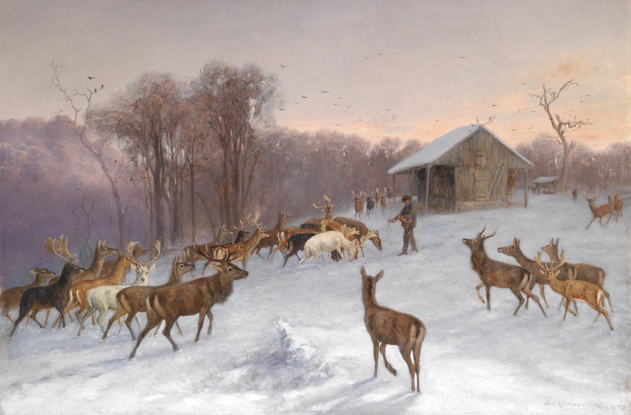 Nourrissage de daims et de cerfs en hiver - Wilhelm Richter