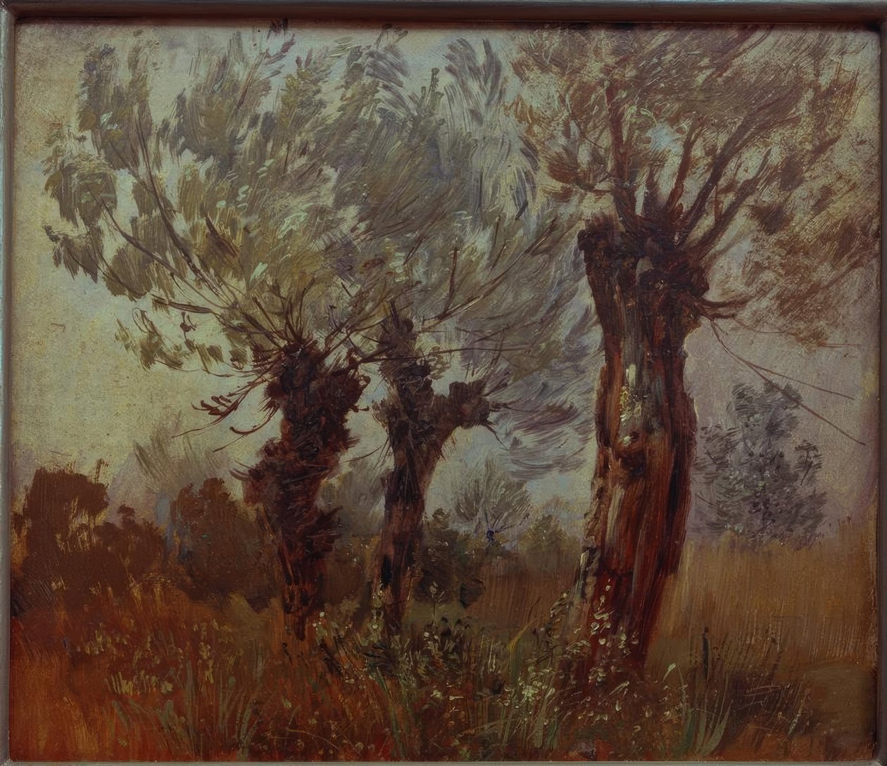 Trois vieux saules - Wilhelm Busch