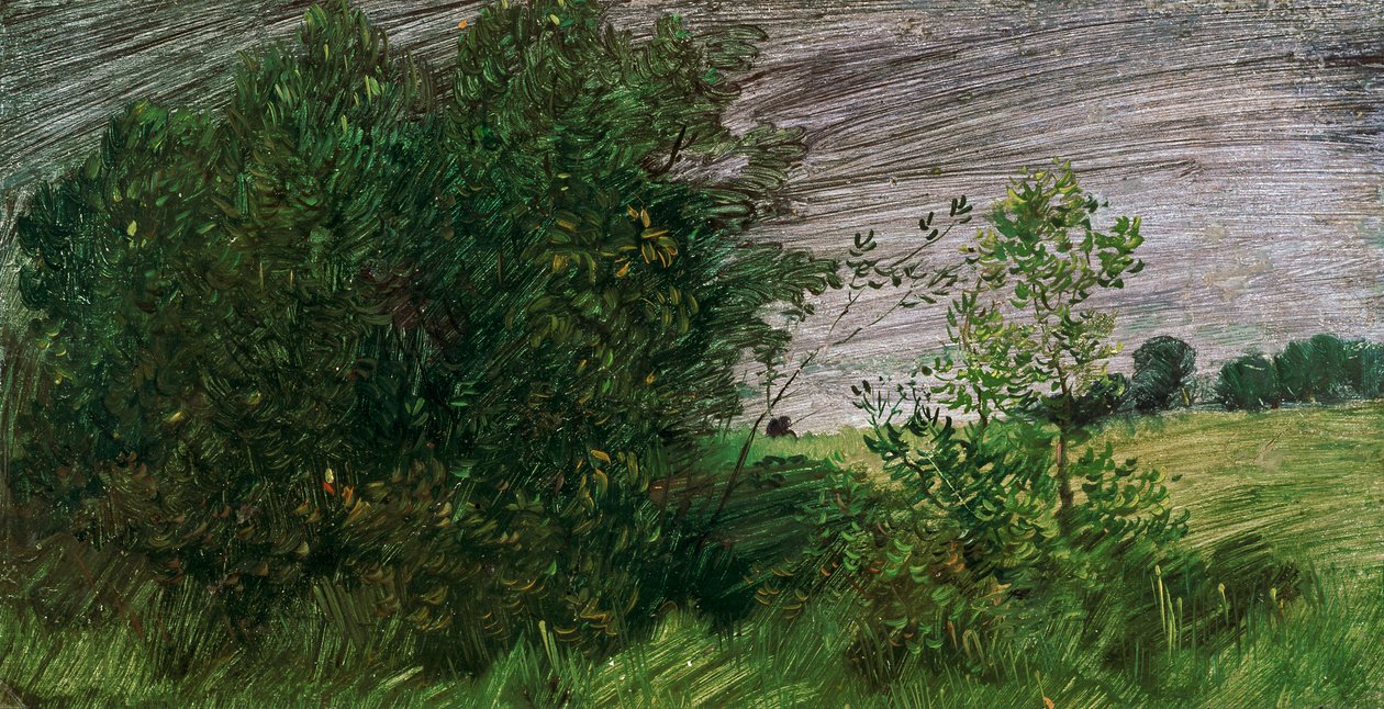 Paysage - Wilhelm Busch