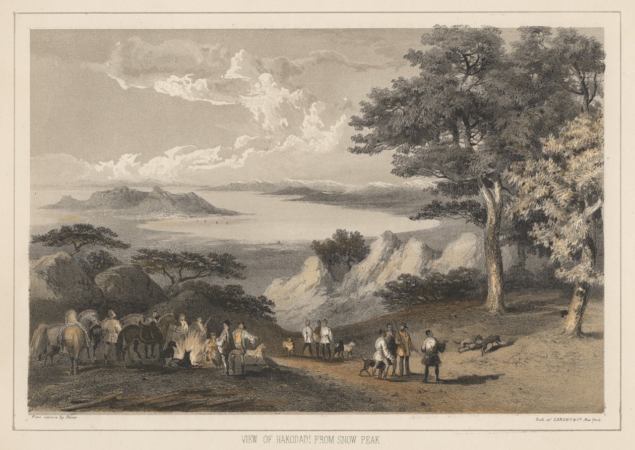 Vue de Hakodadi depuis Snow Peak, 1855 - Wilhelm Joseph Heine