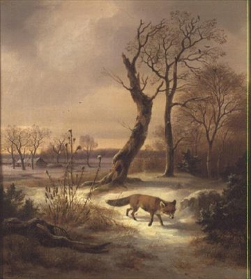 Renard dans une scène d