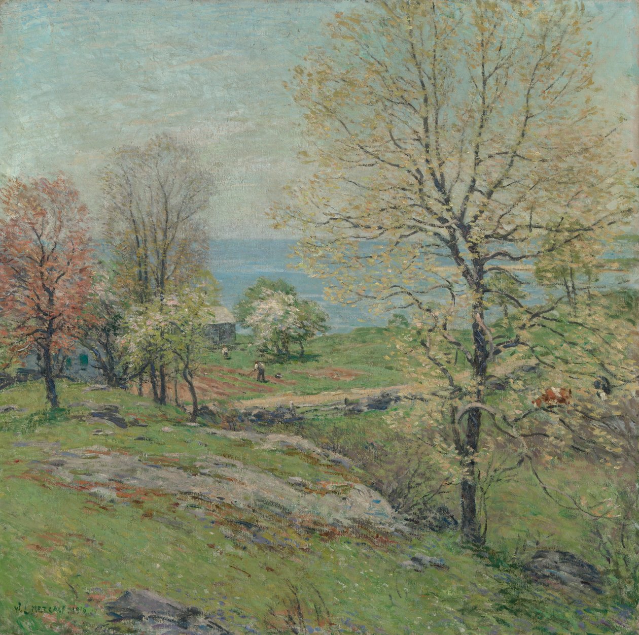 Le chêne bourgeonnant, 1916 - Willard Leroy Metcalf