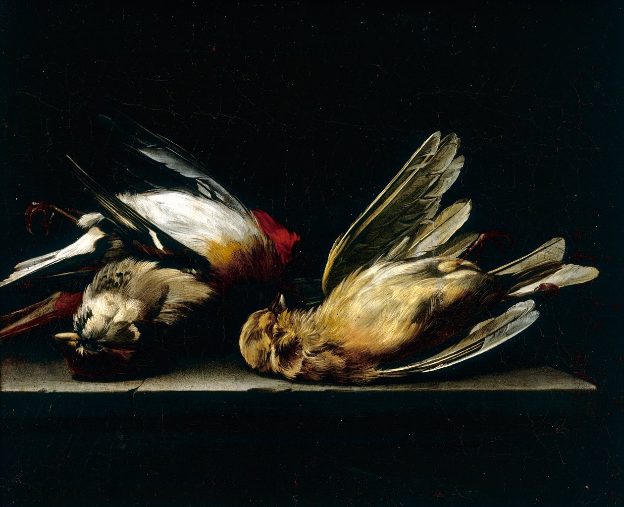 Petits oiseaux morts - Willem van Aelst