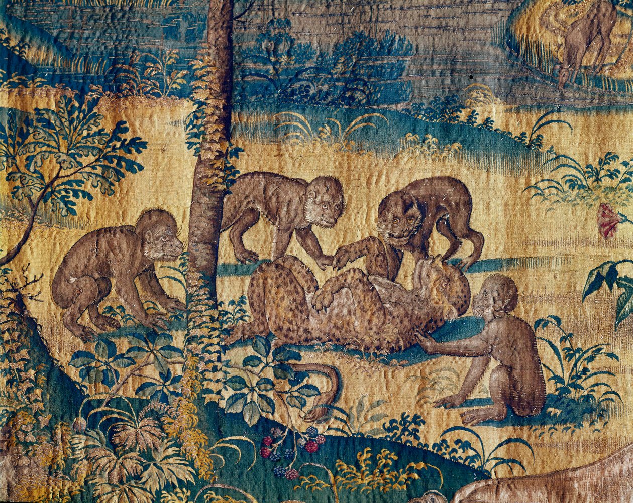 Singes jouant avec une panthère (tapisserie) - Willem (after) Tons