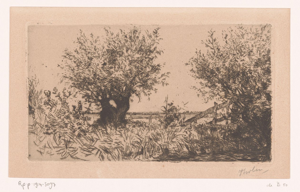 Paysage avec prairie, saules têtards et clôture - Willem Bastiaan Tholen (signed by artist)