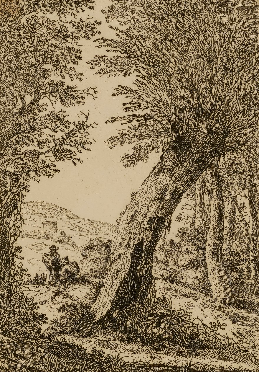 Paysage avec saule - Willem Bemmel
