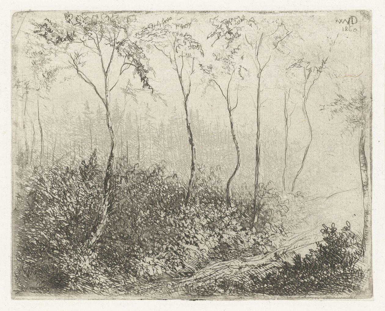 Paysage forestier - Willem Matthias Jan van Dielen
