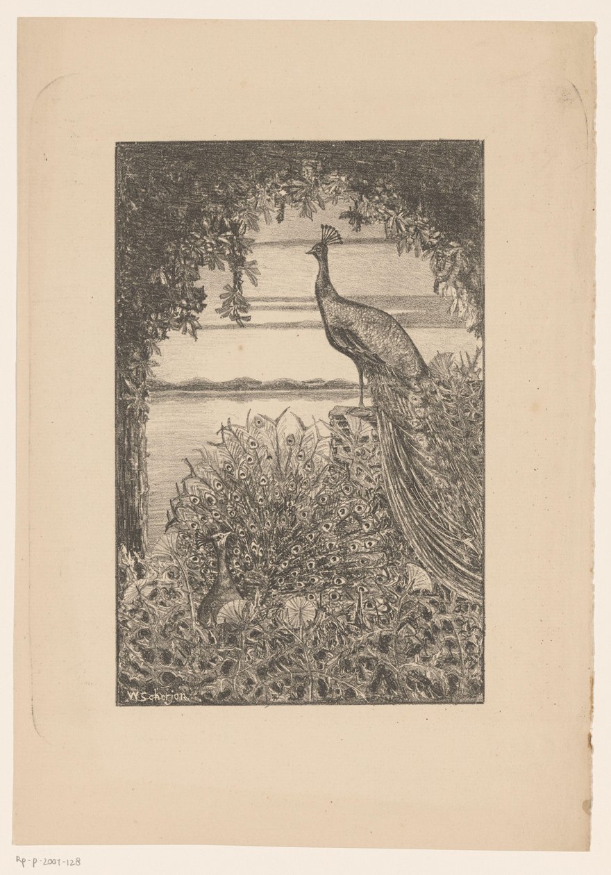 Paon assis et debout dans la nature - Willem Scherjon
