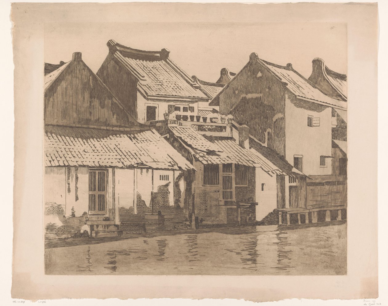 Façades arrière de maisons au bord d