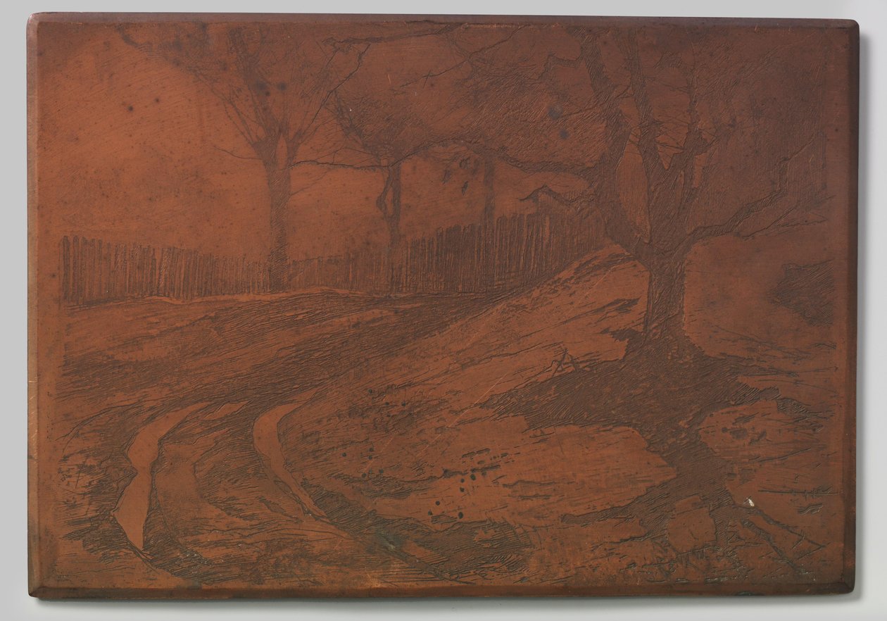 Chemin de dune - Willem Arnoldus Witsen
