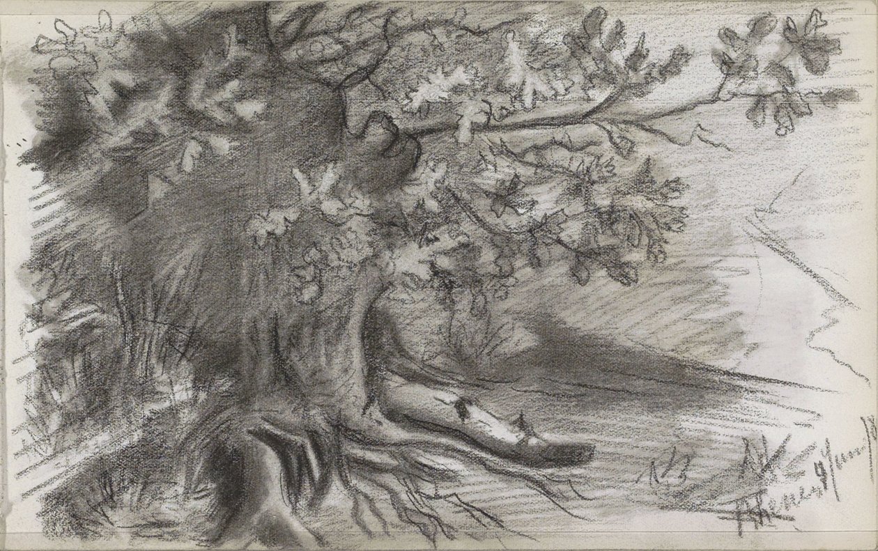 Paysage avec un grand arbre à Rhenen - Willem Arnoldus Witsen