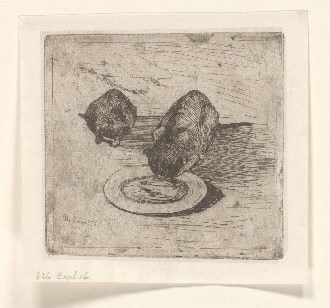 Deux chats, un buvant dans une assiette - Willem de Zwart