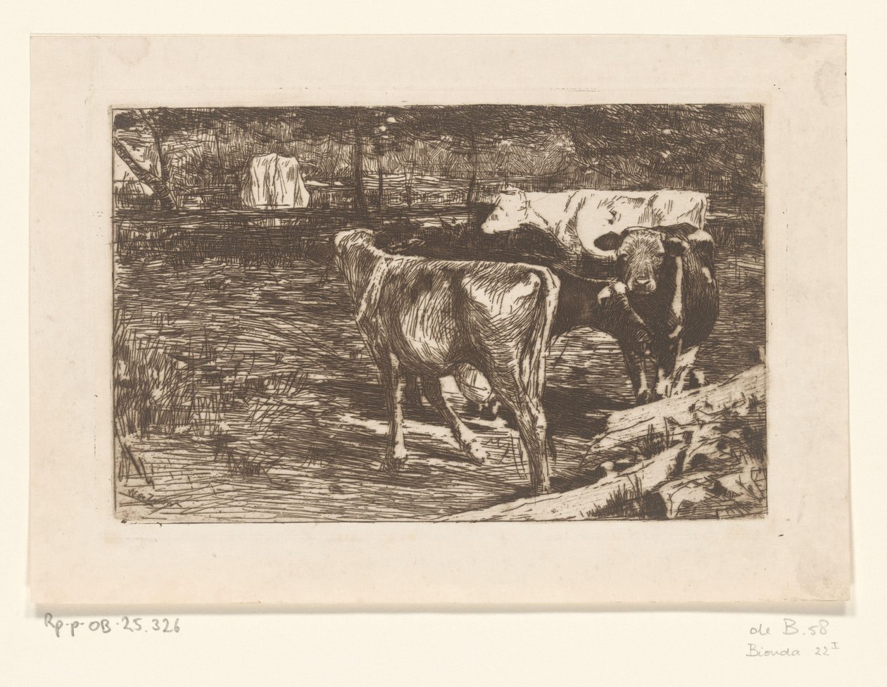 Quatre vaches dans un pré - Willem de Zwart